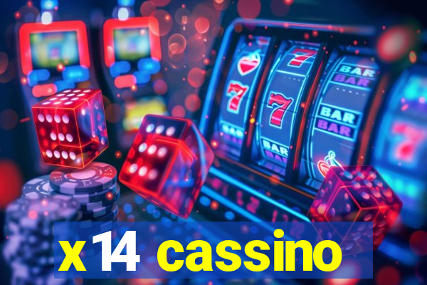 x14 cassino